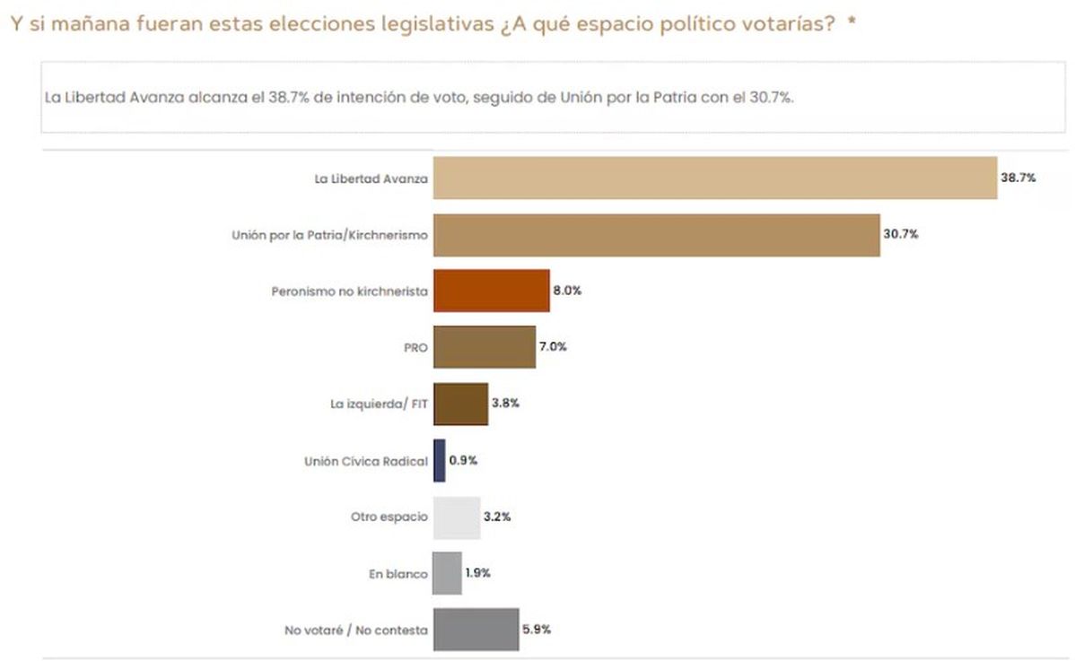 Encuesta sobre intención de voto en la provincia de Buenos Aires ...